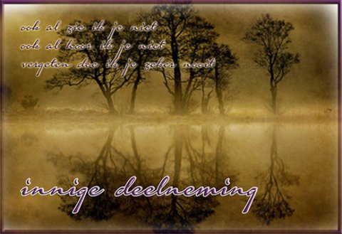 E-card Deelneming