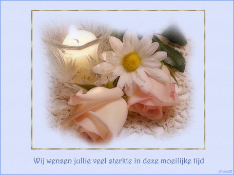 E-card Deelneming