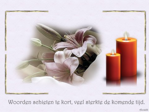 E-card Deelneming