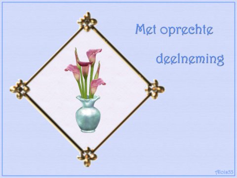 E-card Deelneming