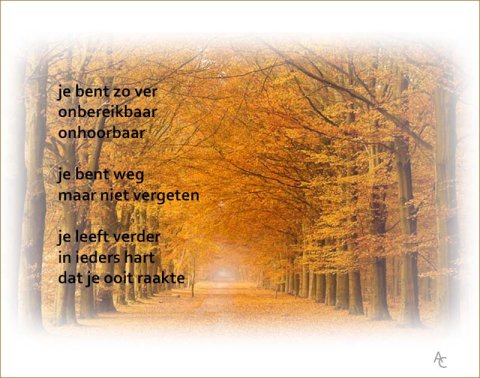 E-card Deelneming
