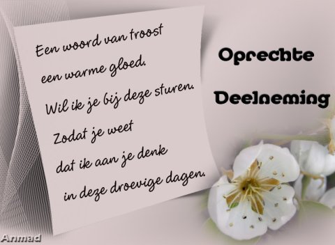 E-card Deelneming