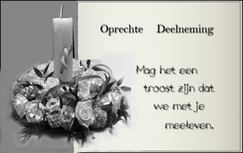 E-card Deelneming