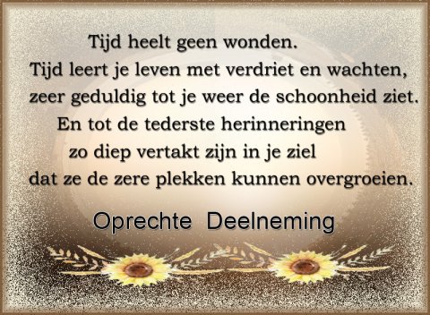 E-card Deelneming