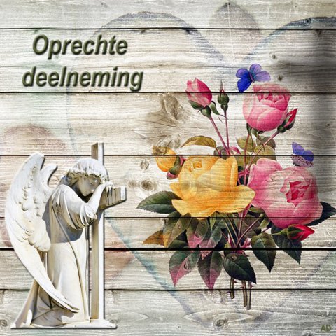 E-card Deelneming