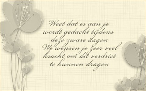 E-card Deelneming