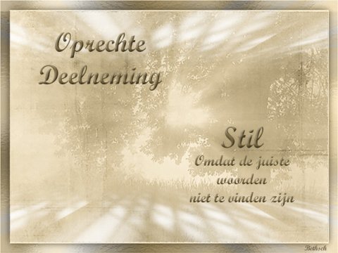 E-card Deelneming