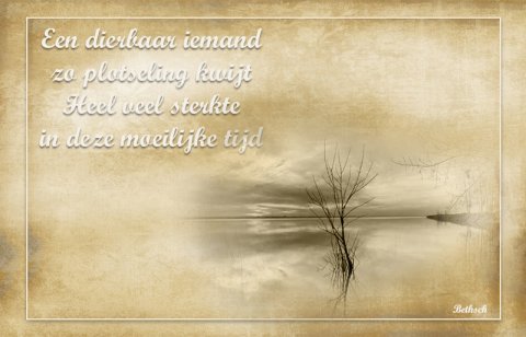 E-card Deelneming