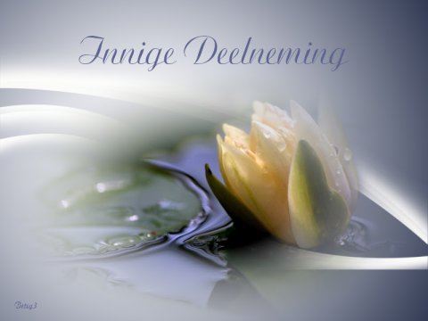 E-card Deelneming