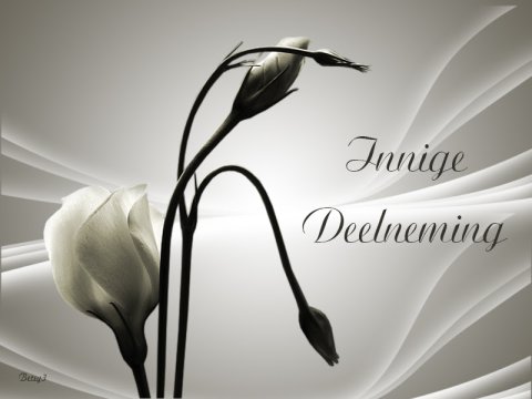 E-card Deelneming