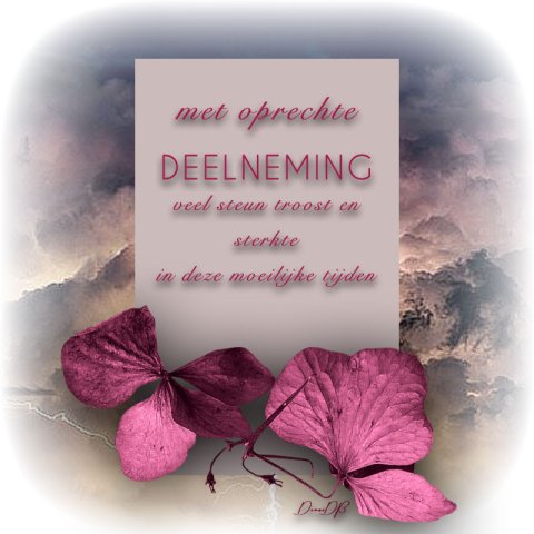 E-card Deelneming