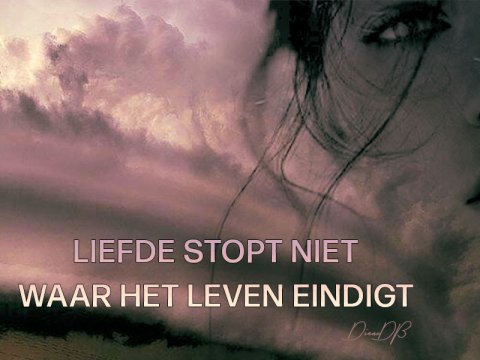 E-card Deelneming