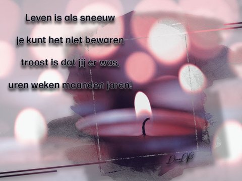 E-card Deelneming