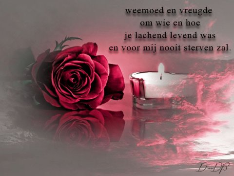 E-card Deelneming