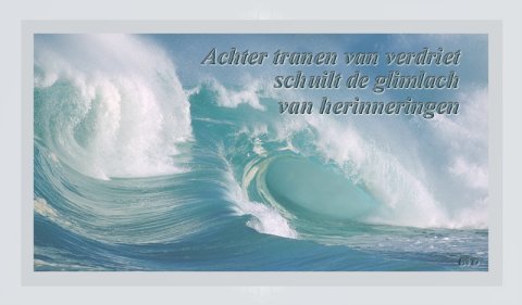 E-card Deelneming