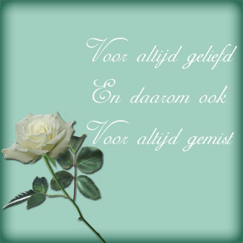 E-card Deelneming