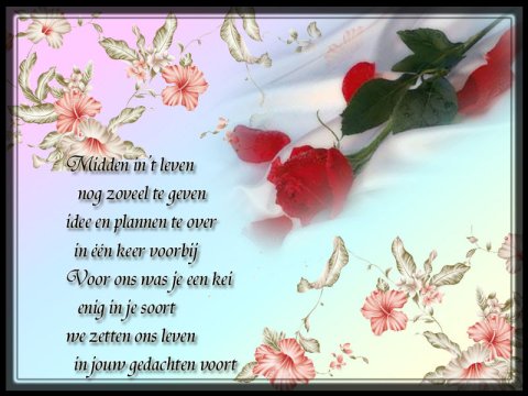 E-card Deelneming