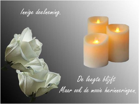 E-card Deelneming