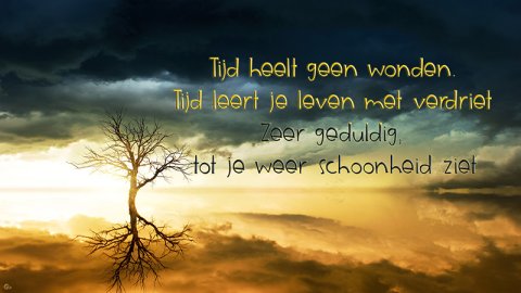 E-card Deelneming