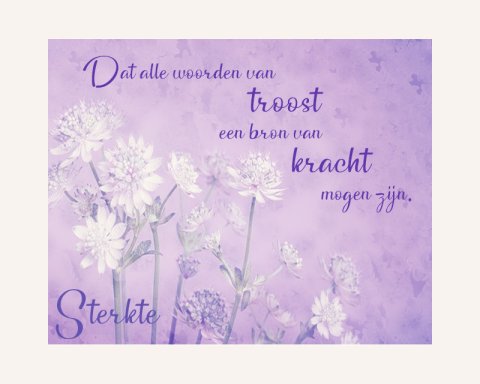 E-card Deelneming