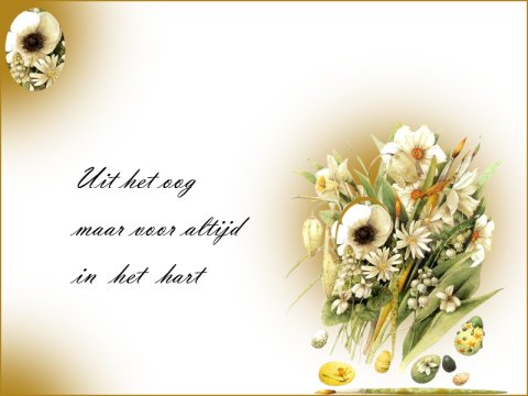 E-card Deelneming