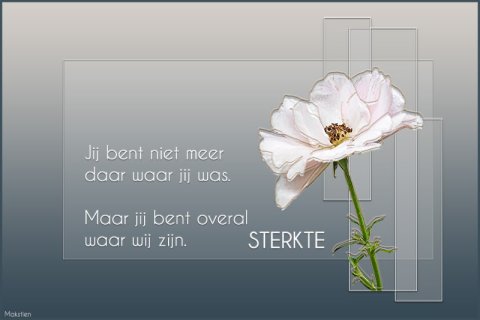 E-card Deelneming