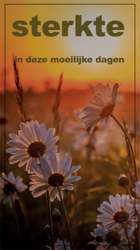 E-card Deelneming
