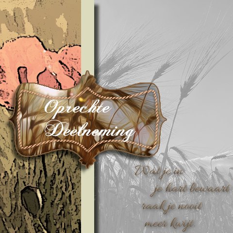 E-card Deelneming