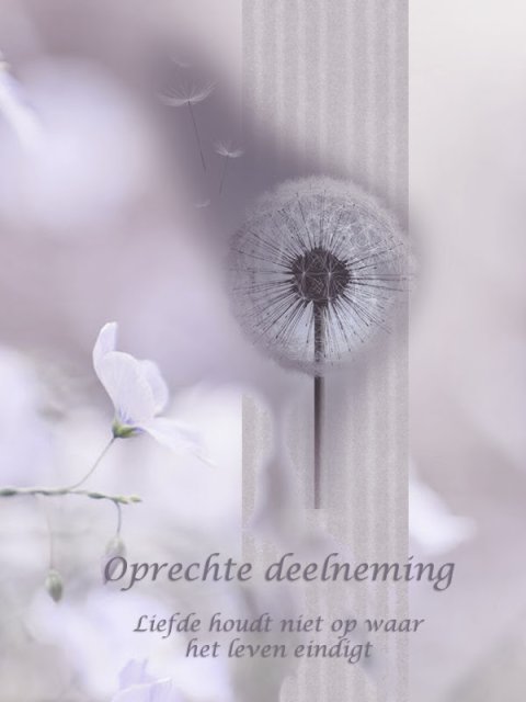 E-card Deelneming