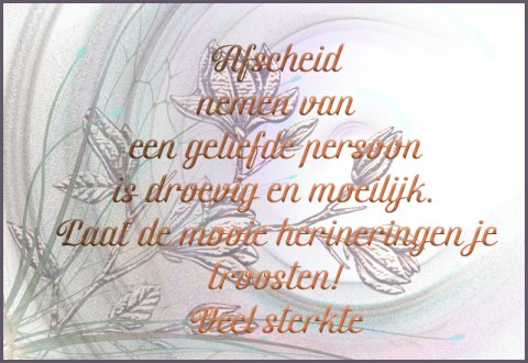 E-card Deelneming