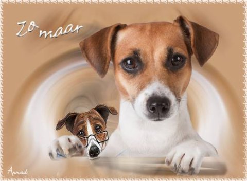 E-card Dieren