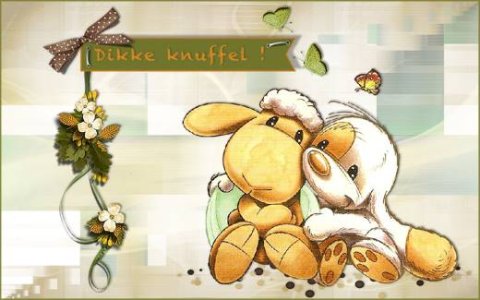 E-card Dieren