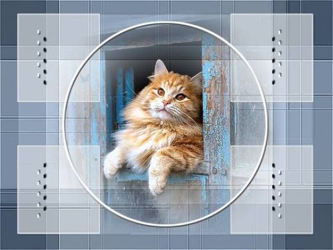 E-card Dieren
