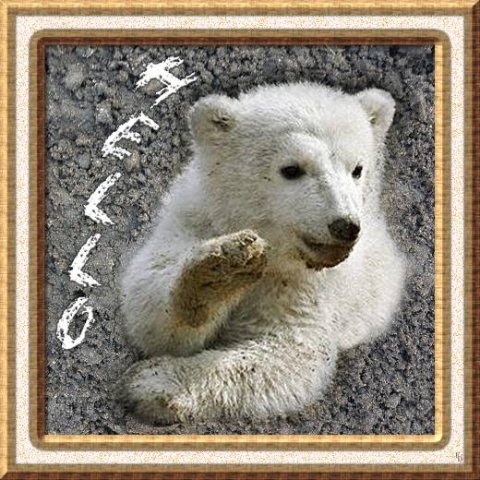 E-card Dieren