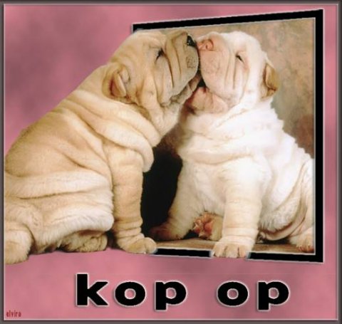 E-card Dieren