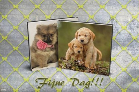 E-card Dieren