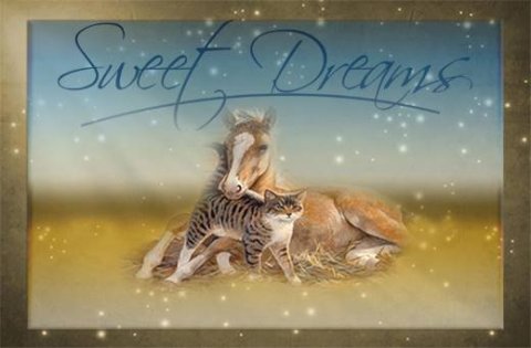 E-card Dieren