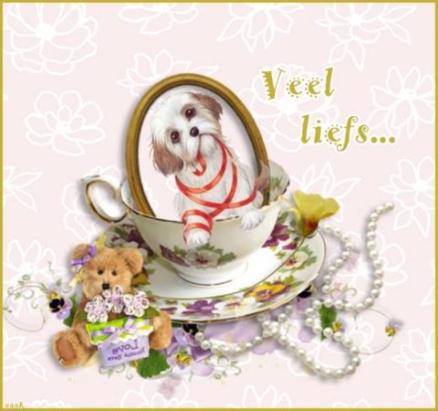 E-card Dieren