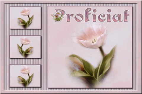 E-card Gefeliciteerd
