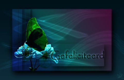 E-card Gefeliciteerd