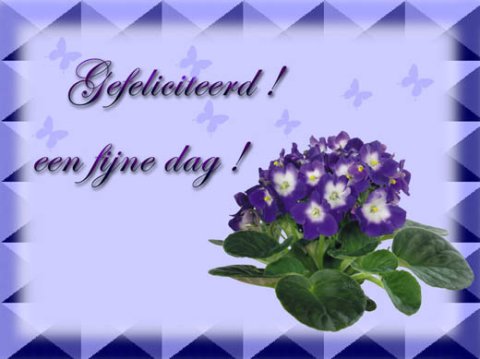 E-card Gefeliciteerd