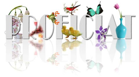 E-card Gefeliciteerd
