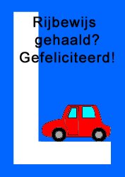 E-card Rijbewijs