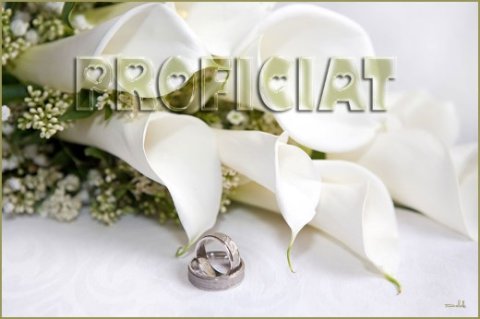 E-card Huwelijk
