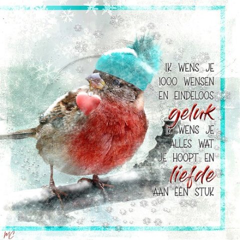 E-card Kerstmis & Nieuwjaar