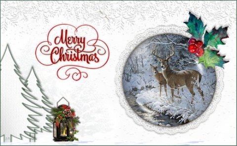 E-card Kerstmis & Nieuwjaar