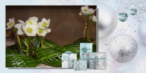 E-card Kerstmis & Nieuwjaar
