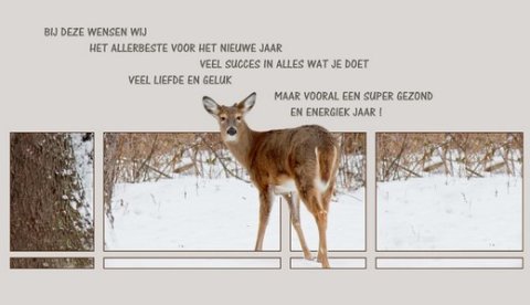 E-card Kerstmis & Nieuwjaar