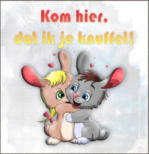 E-card Knuffelkaarten