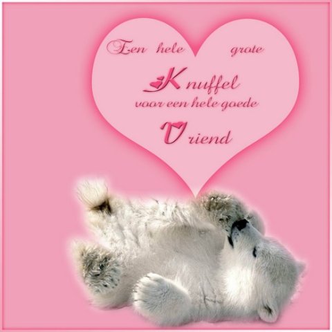 E-card Knuffelkaarten